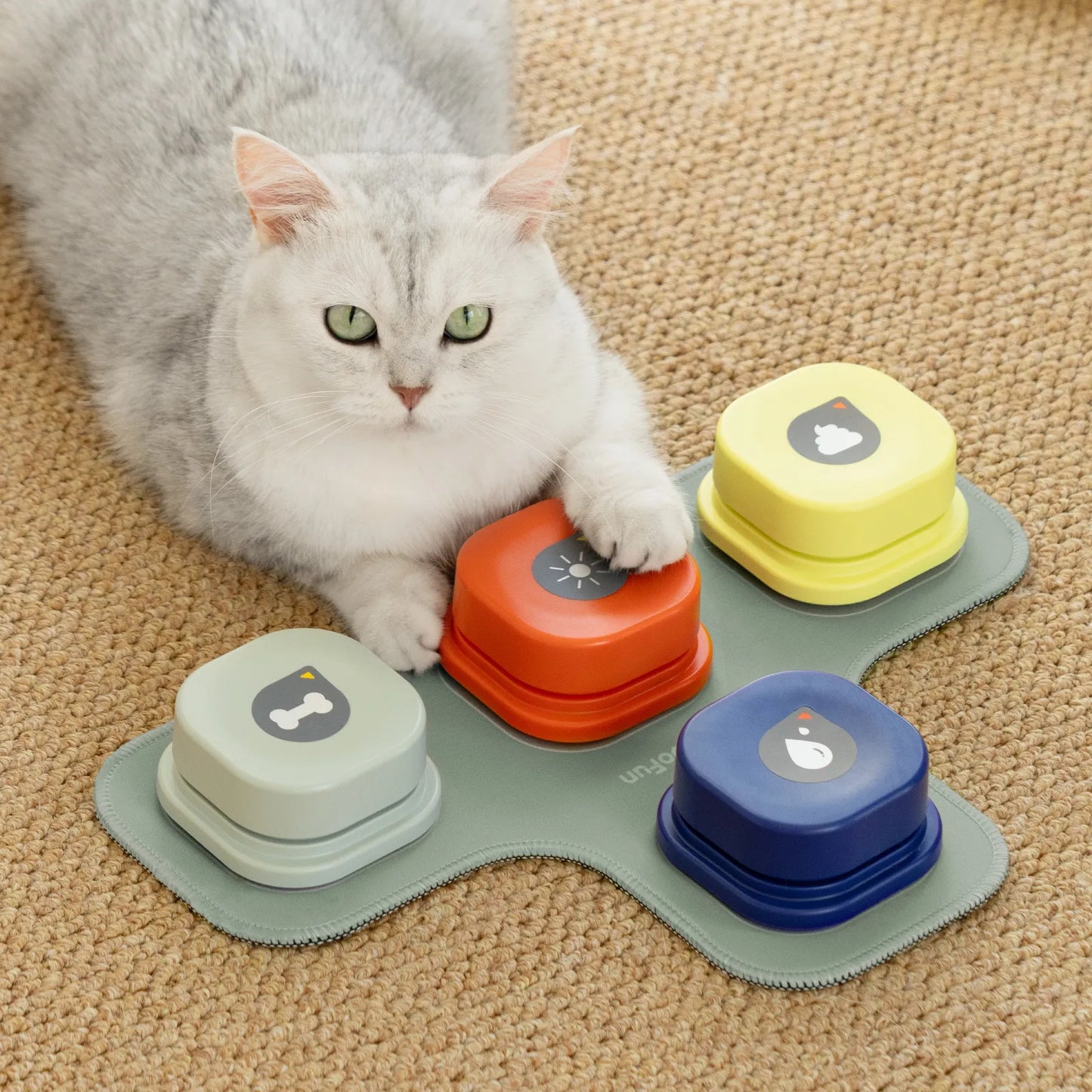 MEWOOFUN Dog Button Record Talking Pet Communication Vocal Training Interactive Toy Bell Ringer With Pad and Sticker Easy To Use
