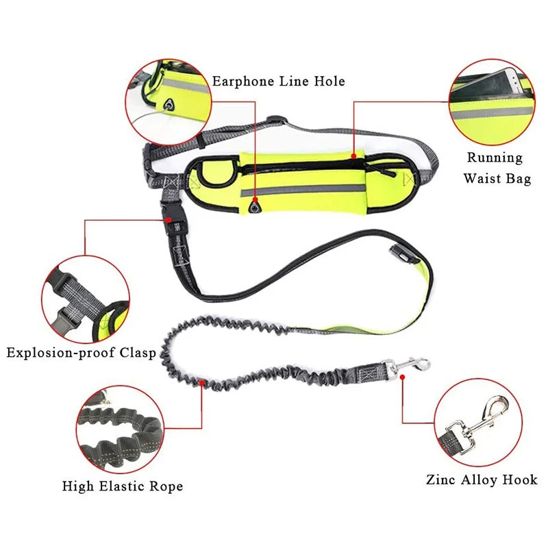 Pets Dog Leashes with Bag Running Hands Free Reflective Full Function Portable Waist Bag Collar Rope Dogs Leash Dog Accessories