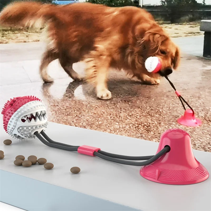 Pet Dog Toys Silicone Suction Cup Push Tug Dog Interactive Toy Elastic Ball Toy Pet Tooth Cleaning Dog Toothbrush Dog Biting Toy