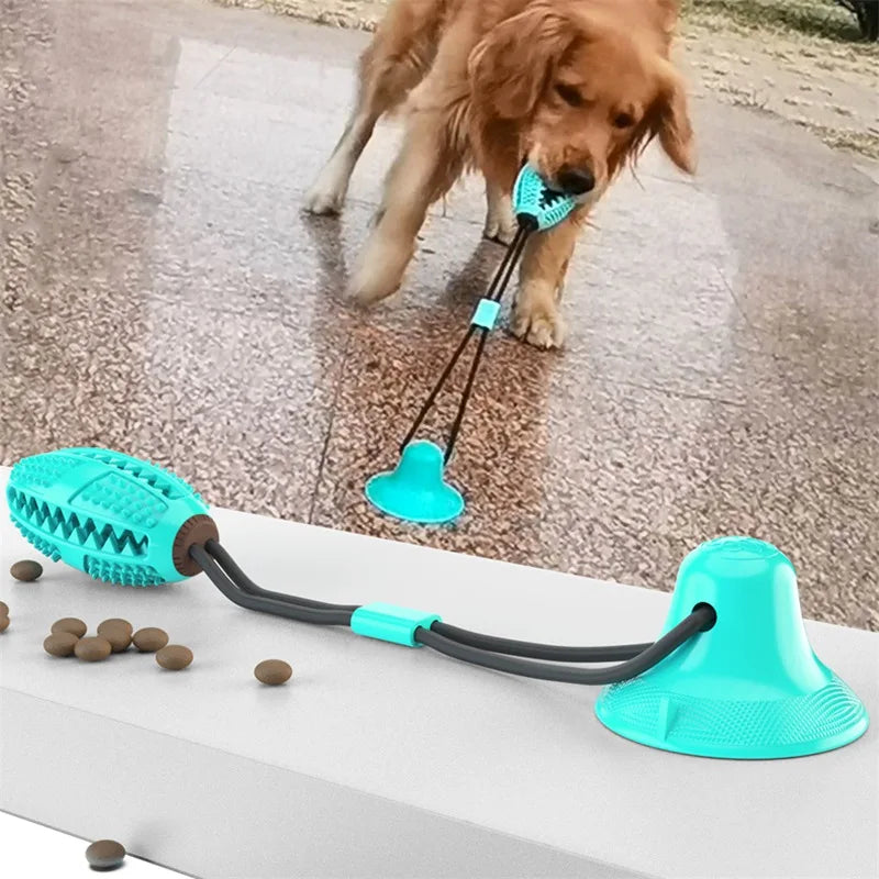 Pet Dog Toys Silicone Suction Cup Push Tug Dog Interactive Toy Elastic Ball Toy Pet Tooth Cleaning Dog Toothbrush Dog Biting Toy