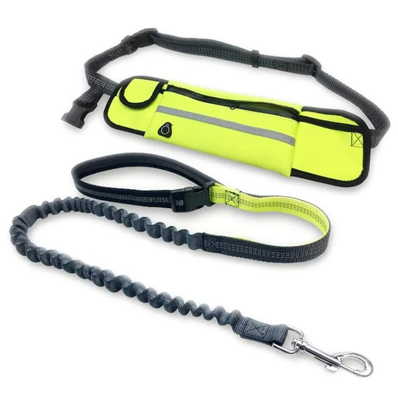 Pets Dog Leashes with Bag Running Hands Free Reflective Full Function Portable Waist Bag Collar Rope Dogs Leash Dog Accessories